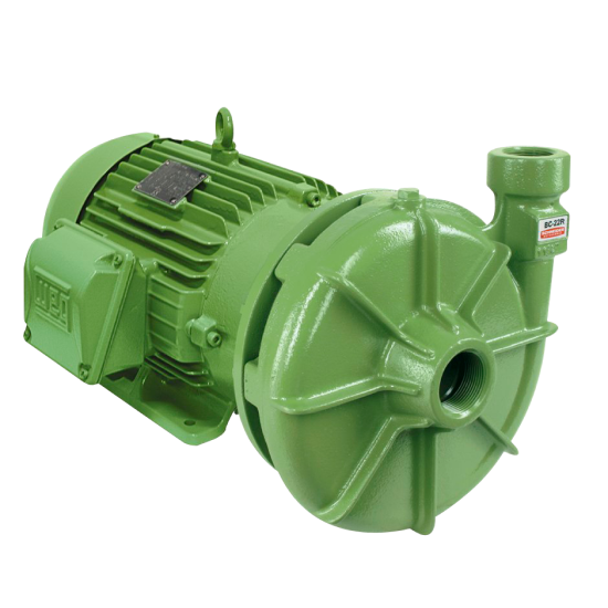 BC-22 Motobombas Centrifugas Monoestágio