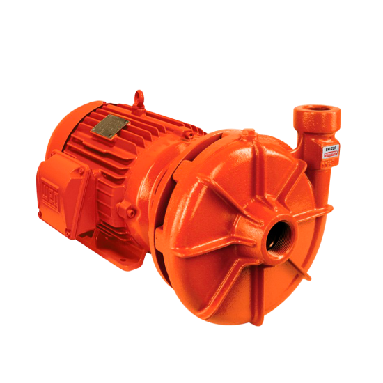 BPI-22 Motobombas Centrifugas de Prevenção Contra Incêndio