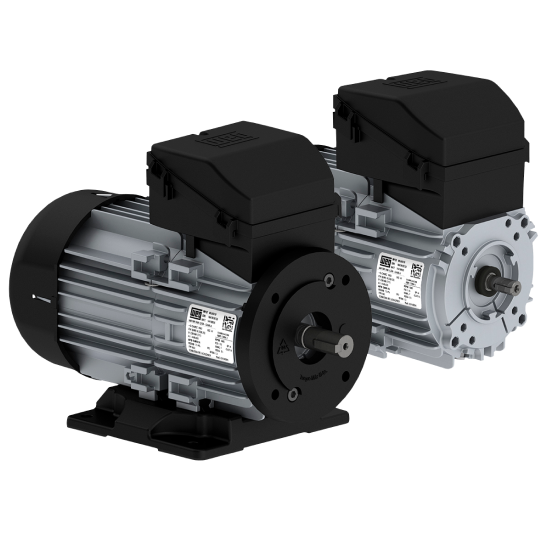 Motor W12 -  Maquinas /  Uso Geral