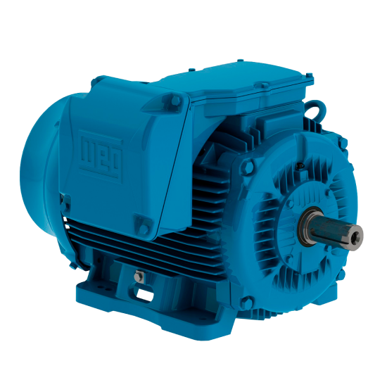 Motor Trifasico Dahlander  -  talhas, elevadores, correias transportadoras, máquinas ......