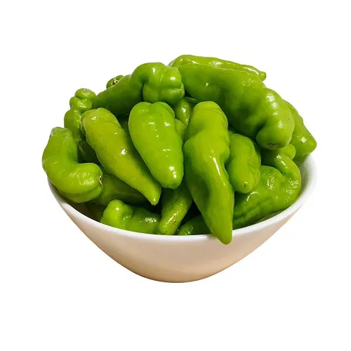 PIMENTA DE CHEIRO