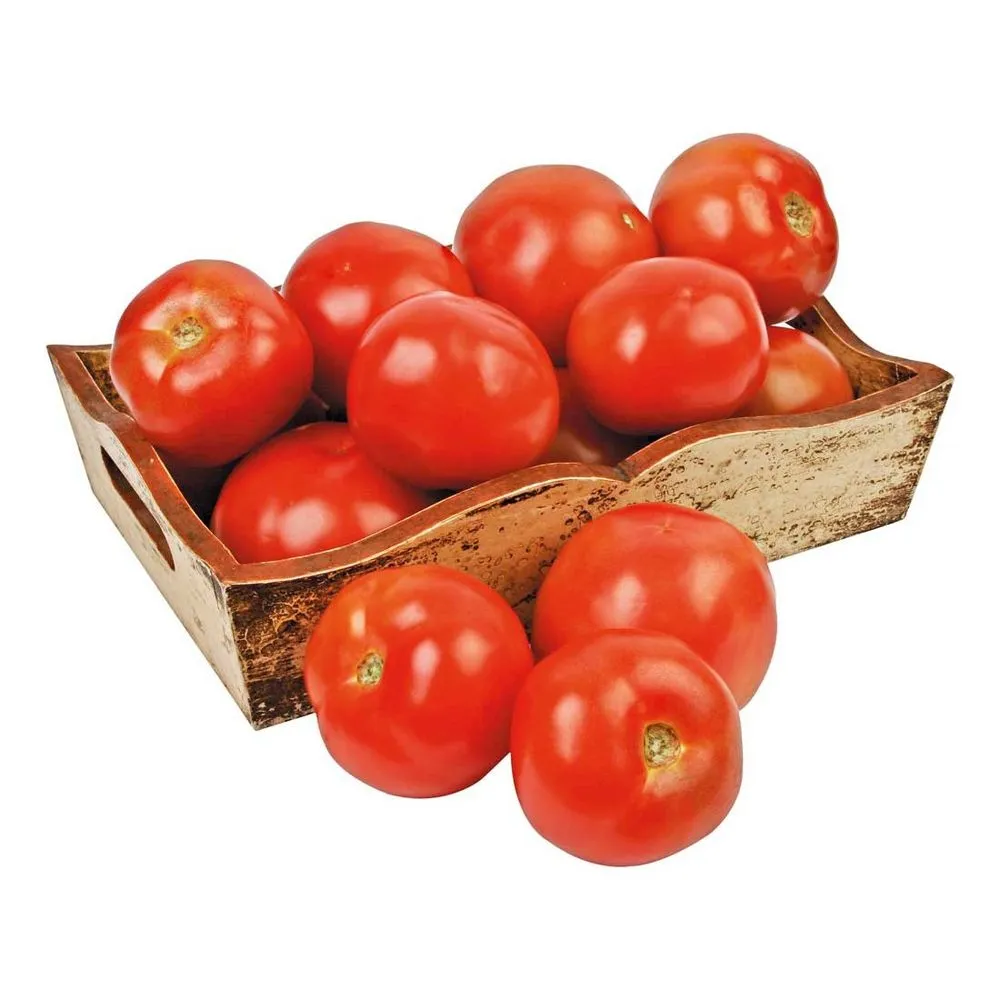 TOMATE SALADA 