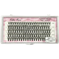 Miniatura